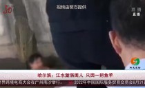 共度晨光