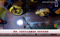 共度晨光