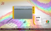 共度晨光