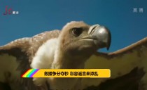 天下夜航
