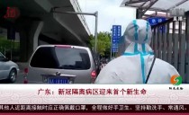 共度晨光
