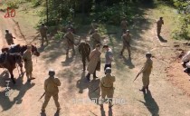 新华视点