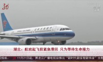 共度晨光