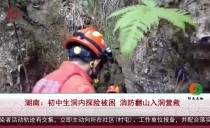 共度晨光