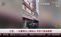 共度晨光