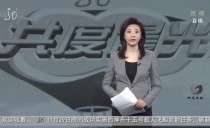共度晨光