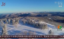 共度晨光