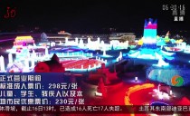 共度晨光