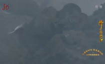 新华视点