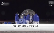 共度晨光