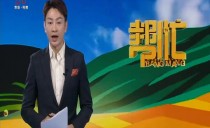 帮忙