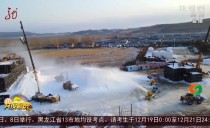 共度晨光