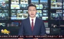 共度晨光