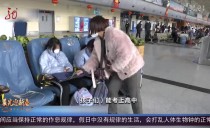 共度晨光