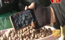 帮忙