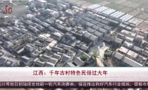共度晨光
