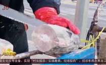 共度晨光