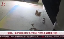 共度晨光
