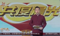 共度晨光