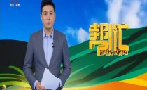 帮忙
