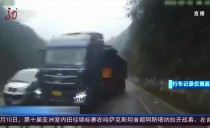 共度晨光