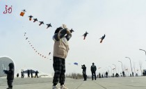 爱上这座城