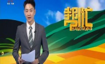 帮忙