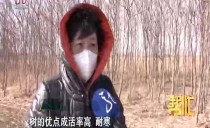 帮忙