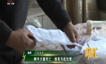帮忙