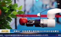 共度晨光