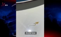 天下夜航