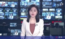 共度晨光