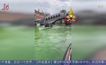 共度晨光