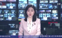 共度晨光