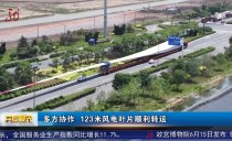 共度晨光