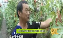 帮忙