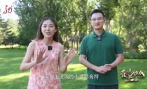 爱上这座城