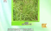 帮忙