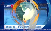 共度晨光