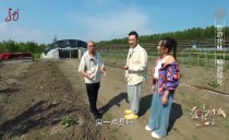 爱上这座城