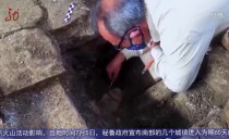 共度晨光