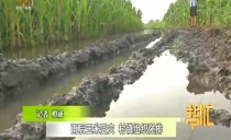 帮忙