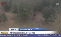 共度晨光