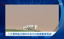 共度晨光