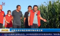 共度晨光