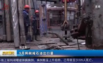 共度晨光