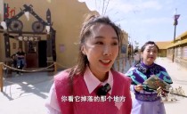 爱上这座城