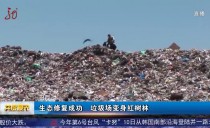 共度晨光