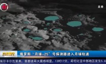 共度晨光