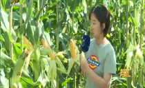 帮忙
